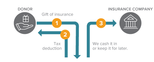 This diagram represents how to make a gift of life insurance – a gift that costs nothing during lifetime.
